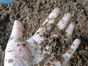 濃香型酒糟擠壓脫水，為您的生產(chǎn)提供解決方案！